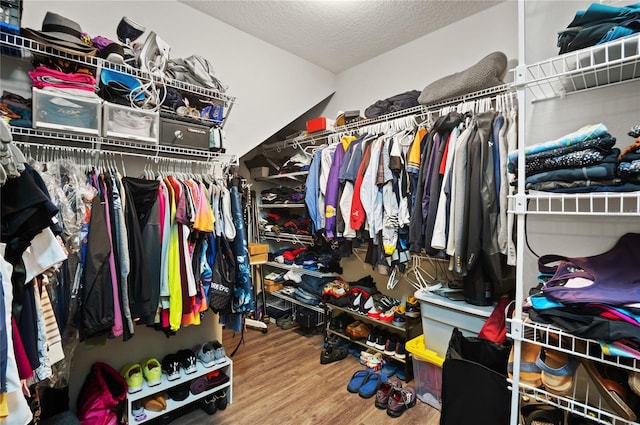 spacious closet featuring hardwood / wood-style flooring