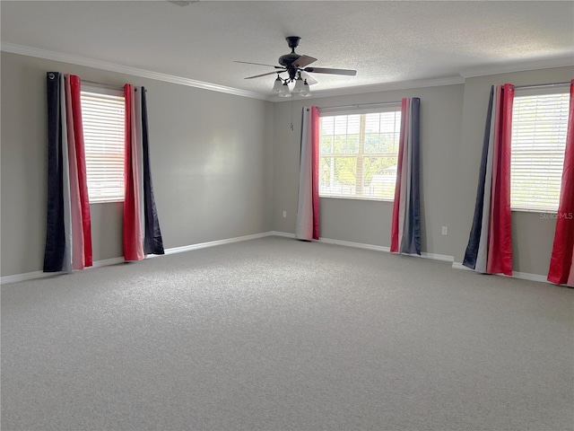 2530 Domenico Paul Way, Orlando, FL 32810 - photo 27