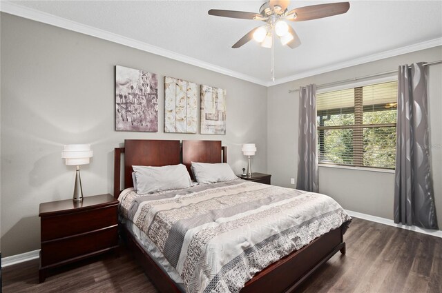 2530 Domenico Paul Way, Orlando, FL 32810 - photo 18