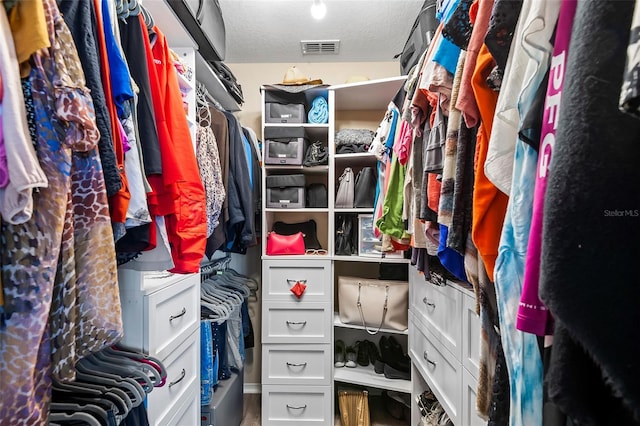 view of spacious closet