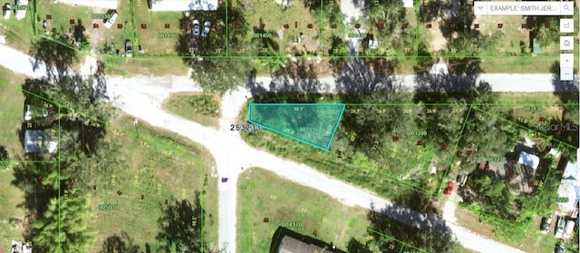 Minor Ave, Bowling Green FL, 33834 land for sale