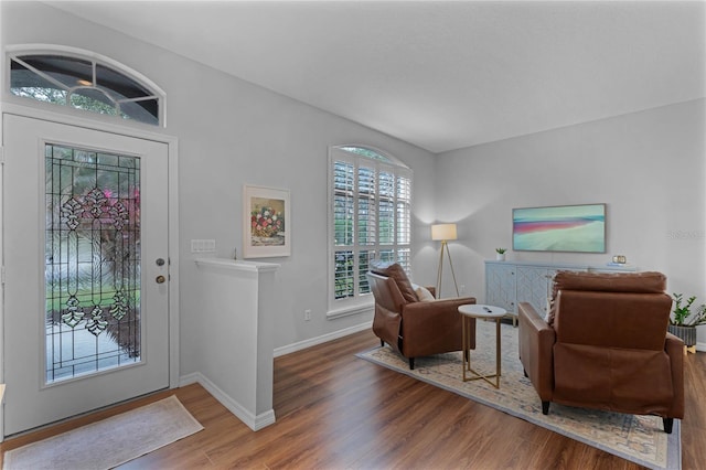 entryway featuring a healthy amount of sunlight and wood-type flooring