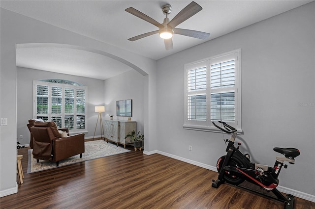 exercise room featuring dark hardwood / wood-style flooring and ceiling fan