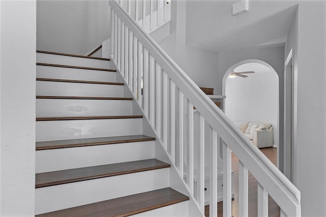 stairs with ceiling fan and hardwood / wood-style floors