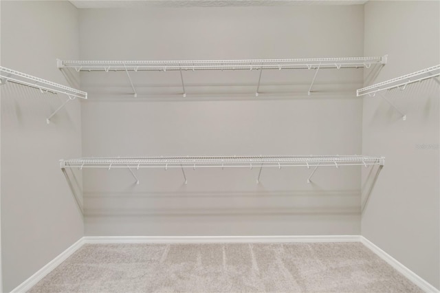 spacious closet with carpet flooring