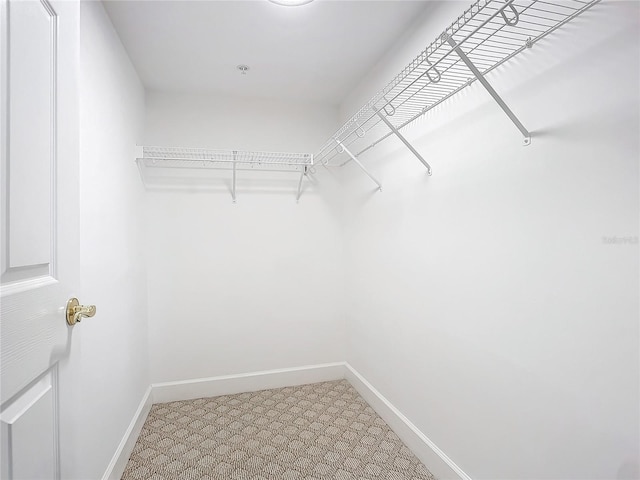 view of walk in closet