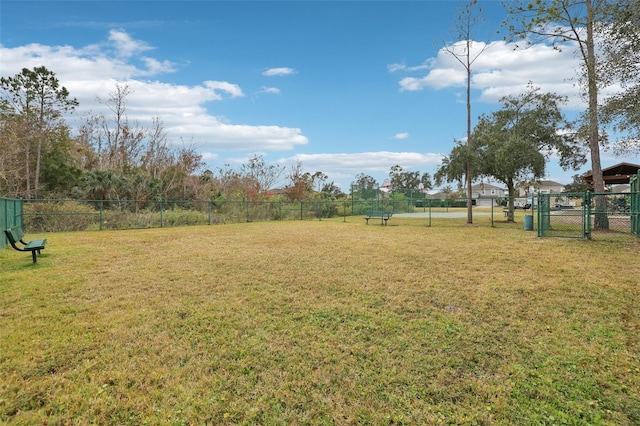 view of yard