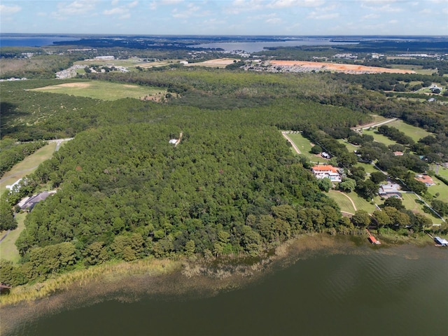 11130/11136/11142 Lane Park Rd, Tavares, FL 32778 - photo 5