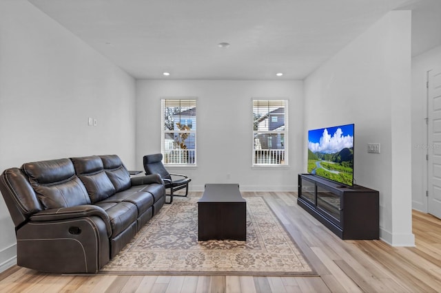 living room featuring light hardwood / wood-style flooring