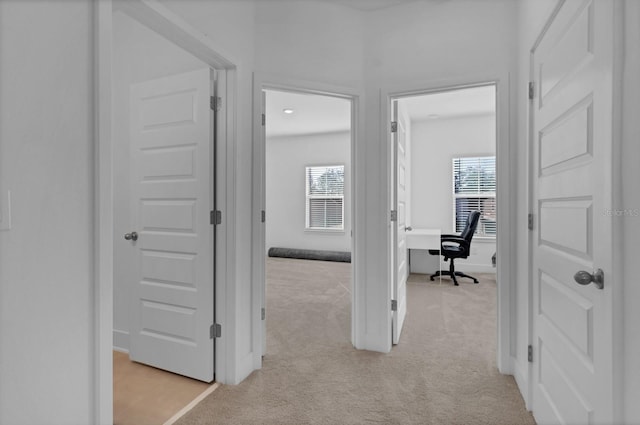 corridor with light colored carpet