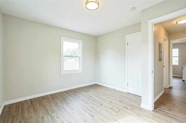 spare room featuring plenty of natural light and light hardwood / wood-style flooring