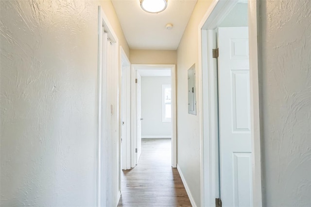 hallway featuring electric panel and hardwood / wood-style flooring