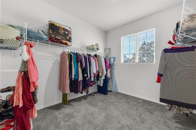 walk in closet with light carpet