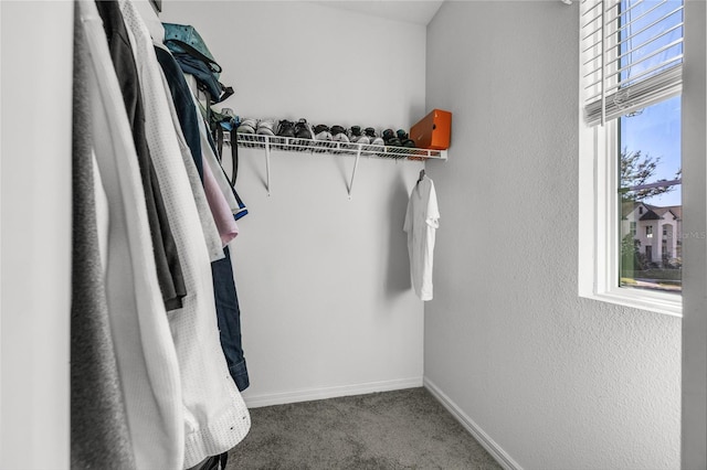 spacious closet with carpet floors