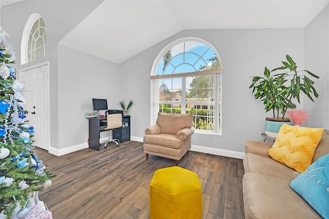 living room with vaulted ceiling and dark wood-type flooring