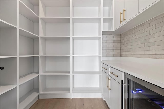 pantry with wine cooler