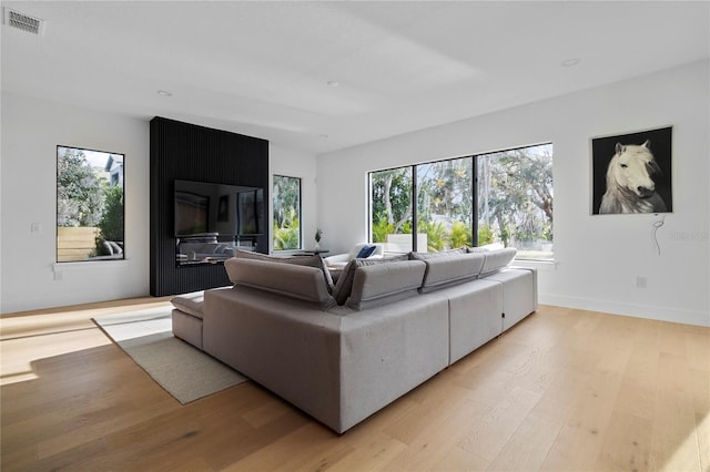 living room featuring light hardwood / wood-style floors