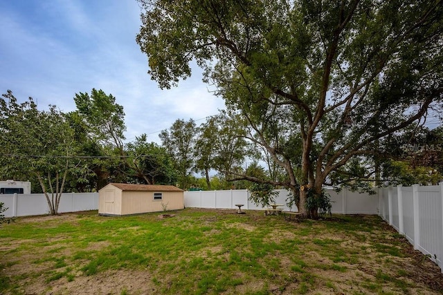 view of yard with a storage unit