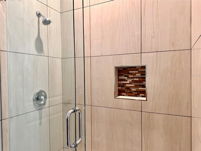 interior details with walk in shower