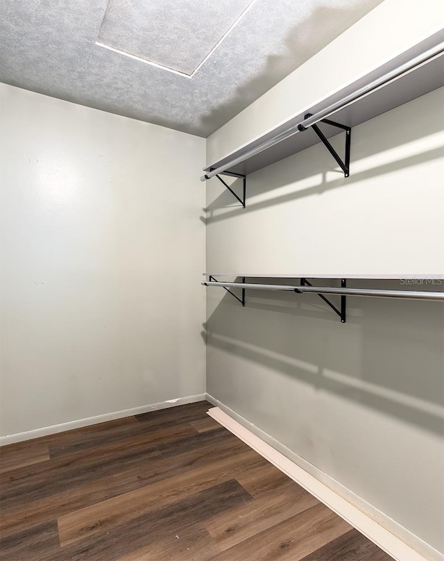 spacious closet with dark hardwood / wood-style floors