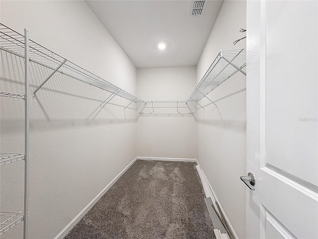 walk in closet featuring carpet