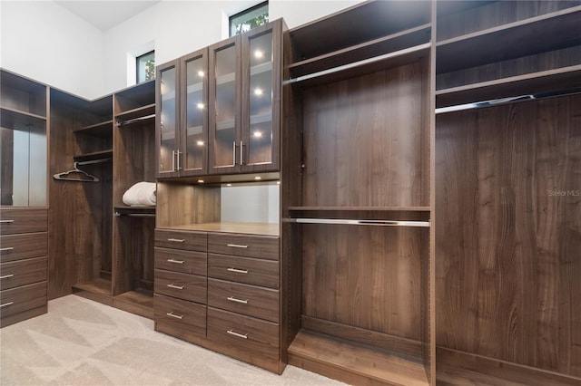 spacious closet featuring light carpet