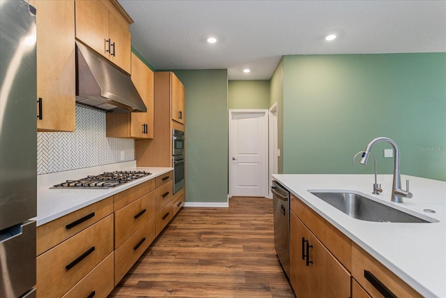 kitchen featuring backsplash, dark hardwood / wood-style flooring, sink, and stainless steel appliances