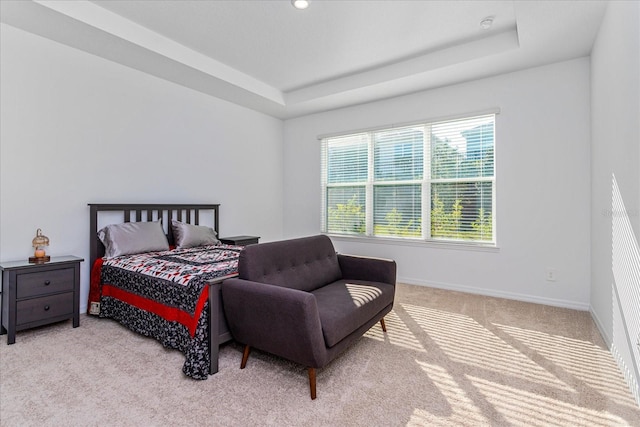 carpeted bedroom featuring a tray ceiling