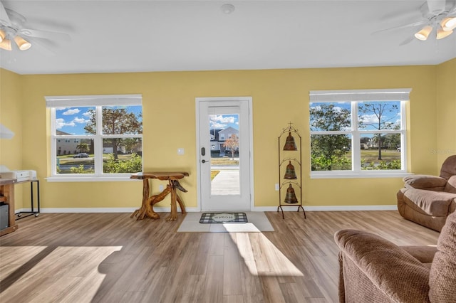 foyer featuring light wood-type flooring, plenty of natural light, and ceiling fan