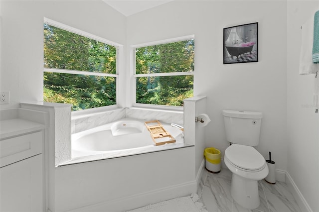 bathroom with toilet, plenty of natural light, and a washtub