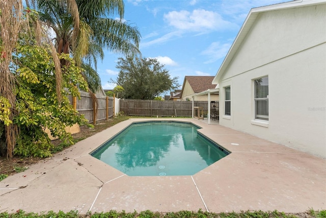 view of swimming pool featuring a patio