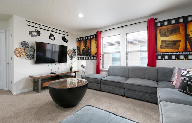 living room featuring carpet flooring