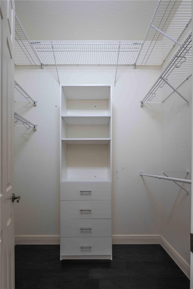 spacious closet featuring dark hardwood / wood-style floors