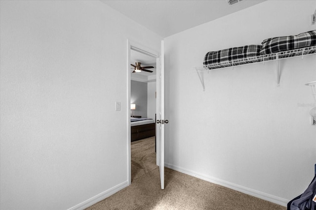 walk in closet featuring carpet flooring