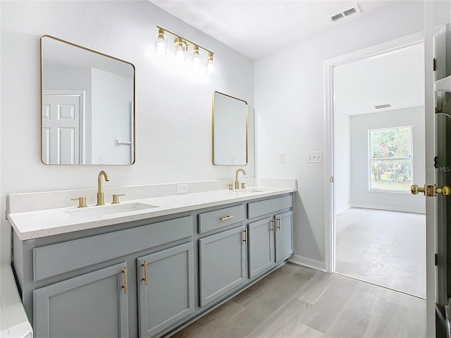 bathroom featuring hardwood / wood-style flooring and vanity