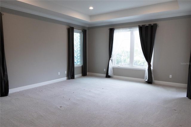 spare room with ornamental molding, light colored carpet, plenty of natural light, and a tray ceiling