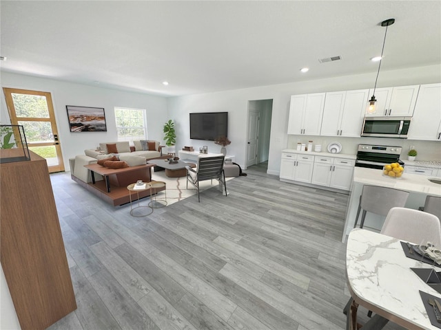 living room with light hardwood / wood-style flooring