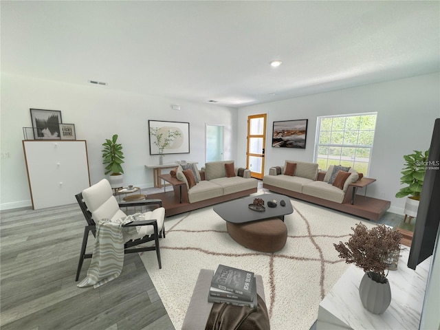 living room with wood-type flooring