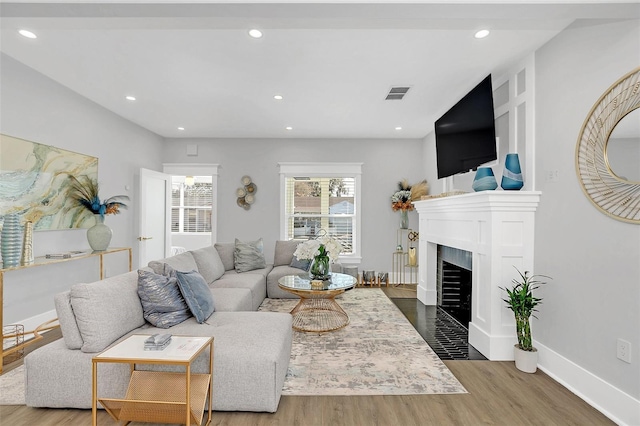 living room with hardwood / wood-style flooring