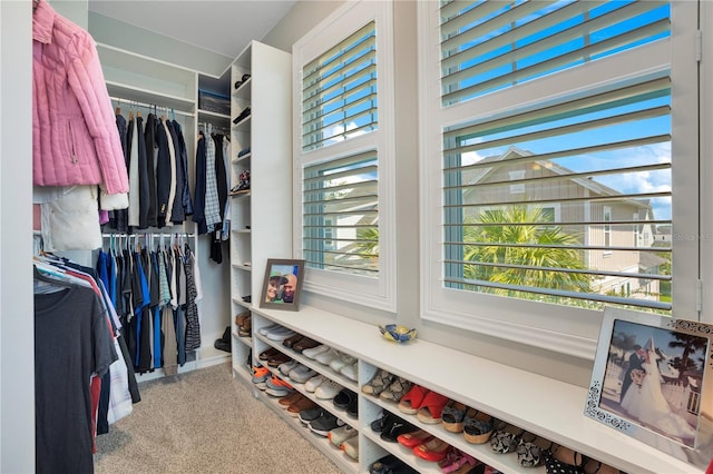 spacious closet with carpet floors