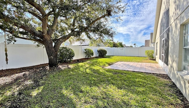 view of yard with a patio