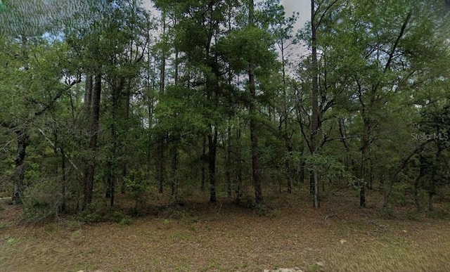 53 W Lynx Dr, Dunnellon FL, 34434 land for sale