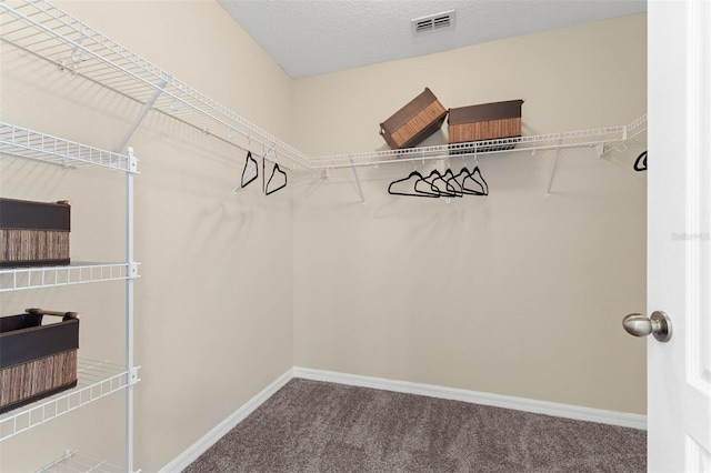 spacious closet with carpet floors