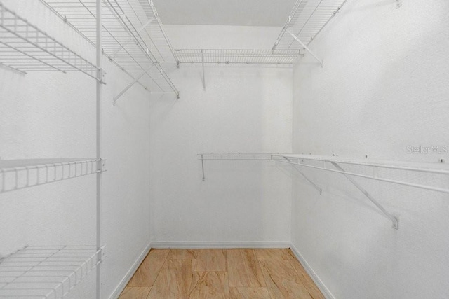 walk in closet with wood-type flooring