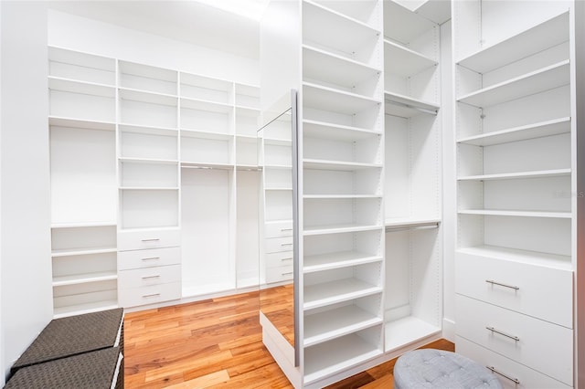 spacious closet featuring wood-type flooring