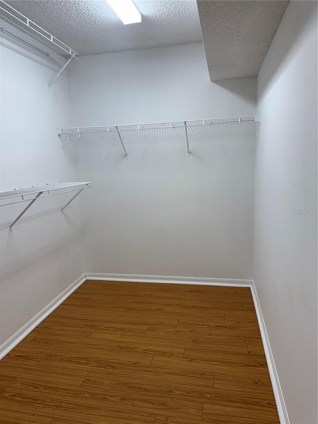 walk in closet featuring wood-type flooring