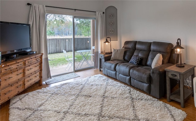 living room with light hardwood / wood-style floors