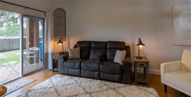 living room with wood-type flooring