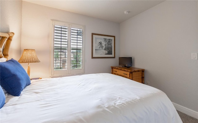 bedroom with carpet