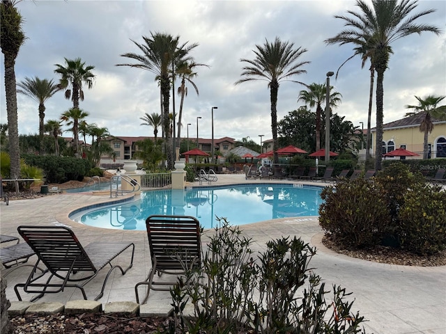 3428 Calabria Ave, Davenport, FL 33897 - community pool with a patio